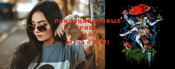 прущие грибы Алексеевка