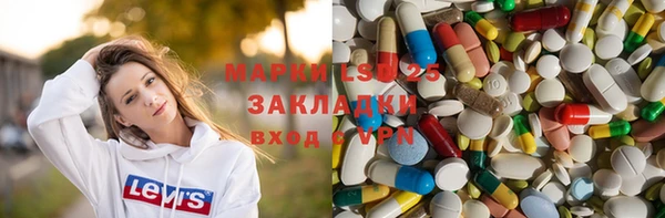 прущие грибы Алексеевка