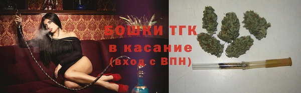 прущие грибы Алексеевка