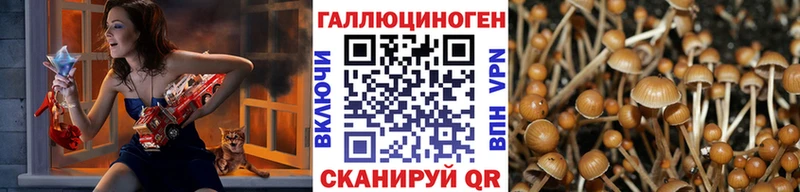 mega онион  Котельники  Псилоцибиновые грибы MAGIC MUSHROOMS 